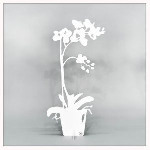 Orkidé – ETERNITY Dekoration 50cm