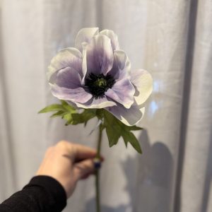 Anemon violett vit 43 cm