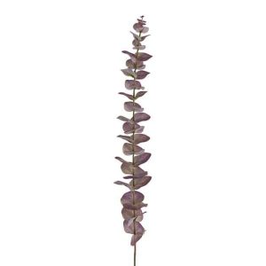 Eucalyptus 85 cm