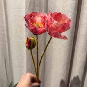 Vallmo rosa 75 cm